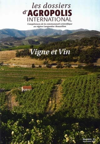 Vigne et vin