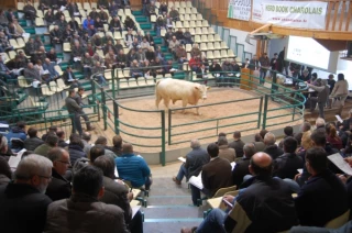 Le top prix est parti à 8 020 euros
