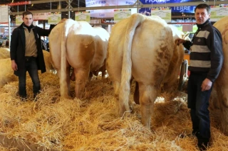 Quand l’Yonne fait Salon