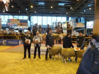 Paris, l’autre «pays» du mouton nivernais