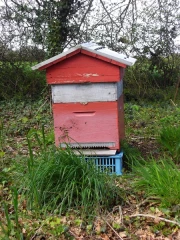 Installer une ruche dans son jardin
