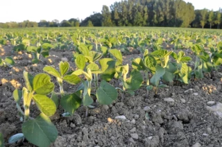 L’implantation, une des clés pour réussir