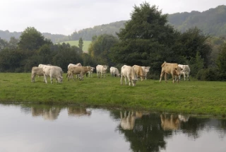 Une nécessité de s’adapter