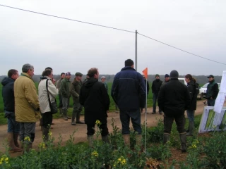 35 personnes à la journée technique colza