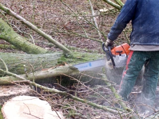 Réglementation relative au défrichement