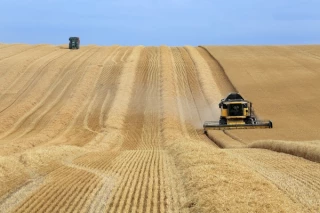 Recul démographique et forte baisse du revenu agricole