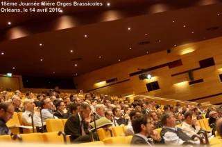L’organisation, un atout majeur, demain comme aujourd’hui