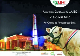 Rassembler les jeunes éleveurs de charolais