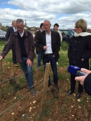 Un vignoble sous haute surveillance