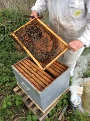Une saison sous de bons augures