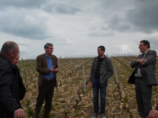 Après le coup de froid,  le préfet dans les vignes