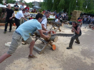 Francheville fête le bois 