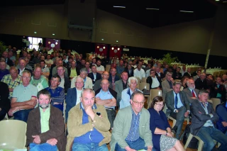 Des idées plein la tête !