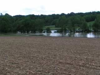 Les terres aussi ont souffert
