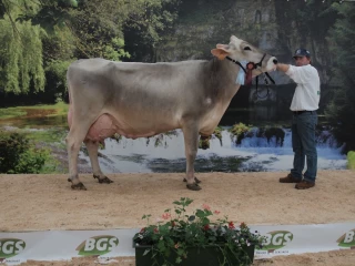 Un concours de haut niveau