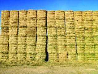 édification des meules