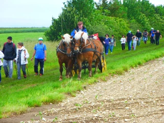 Plus de 400 participants à la marche gourmande