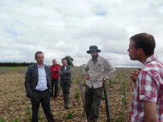 Jérôme Despey au chevet des vignobles du Centre-Loire