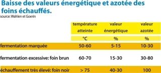 Questions sur les foins humides