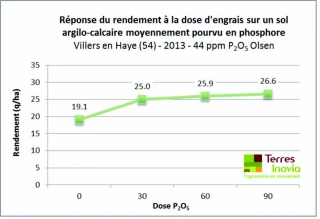 N’oubliez pas le phosphore !