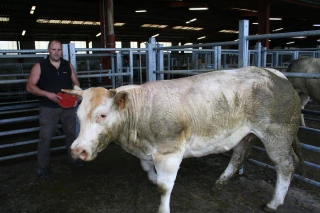 400 animaux présentés