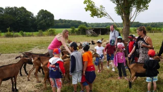 Des fermes accueillantes