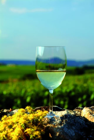 Déjouer les pièges des clients