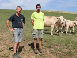 «Osez les légumineuses» : la démonstration par l’exemple...