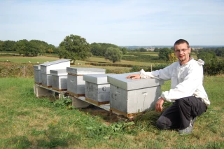 Le miel et les abeilles