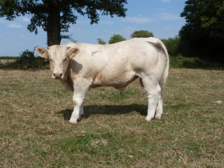 Journées commerciales ce week-end 