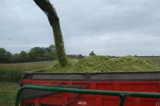 Pour optimiser ses rations