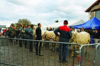 Cinquième Fête de l’élevage
