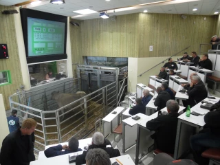 Analyse locale d’une conjoncture mondiale