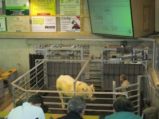 Moins d’animaux mais autant d’échanges