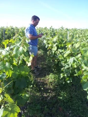 Réduire l’utilisation de produits phytosanitaires, c’est possible !