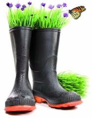 «Bien dans ses bottes»