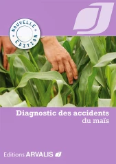 Maïs et sorgho