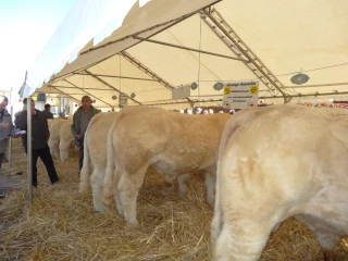Sous le soleil et conviviale