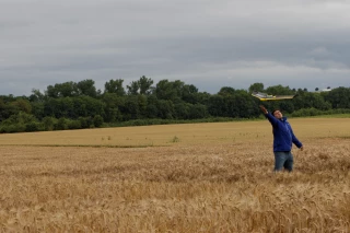 Les céréales présentées comme solution face au changement climatique