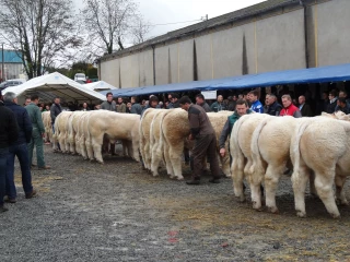 Pari tenu, pari gagné... Une belle réussite !