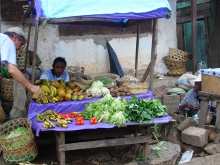 Défi alimentaire 2050: les cinq leviers pour nourrir la terre
