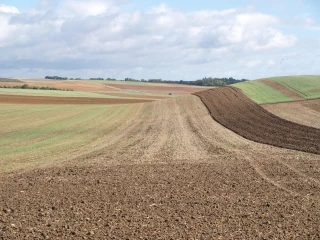 Ces sociétés qui gèrent des exploitations pour autrui