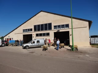 éleveurs charolais, rendez-vous à Arnay