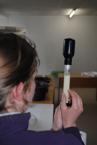 Peser le colostrum de vaches avant de le congeler !