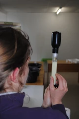 Peser le colostrum de vaches avant de le congeler !