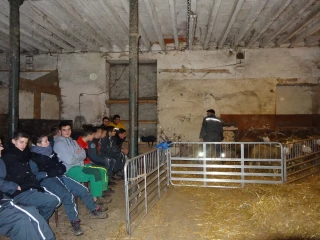 Pour des élèves qui sortent du troupeau...