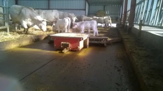 Propre et économe 