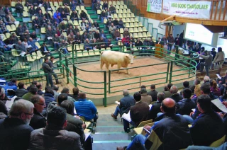 Un potentiel à exploiter