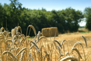 Le dispositif BOP étendu au département de l’Yonne 