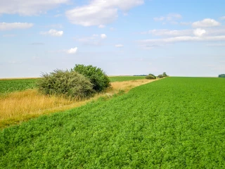 Verdissement : la simplification selon la Commission européenne